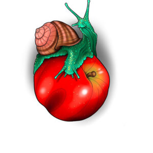 Snail Apple